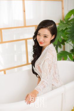 上门女婿叶辰小说